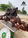 tuong-nhat-long-cuon-thuy-go-trac-cao-42-ngang-86-sau-31-cm-425436