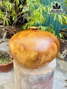 chum-phu-quy-go-nu-huong-cao-26-duong-kinh-36-cm-425476
