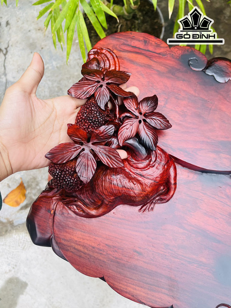 khay-tra-go-trac-cao-11-ngang-64-sau-37-cm-425479