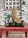 9900000-425621
