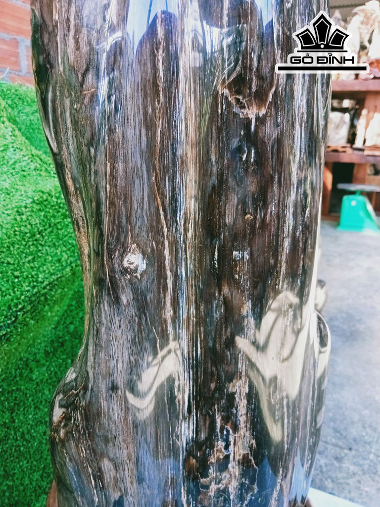 Tác Phẩm Cây Gió Bầu Hóa Thạch Cao 62 Ngang 17 (cm) 16kg