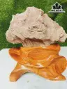 Tác Phẩm Gỗ Hóa Thạch Cao 28 (cm) 5kg