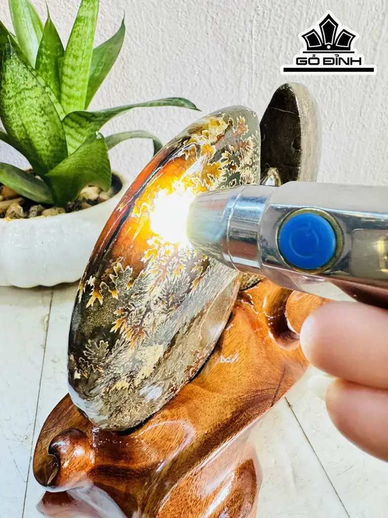 Cặp Ốc Anh Vũ Hóa Ngọc Cao 20 ngang 22 (cm) 1,9kg