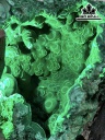 Hốc Đá Malachite Cao 35 (cm) 6,4kg