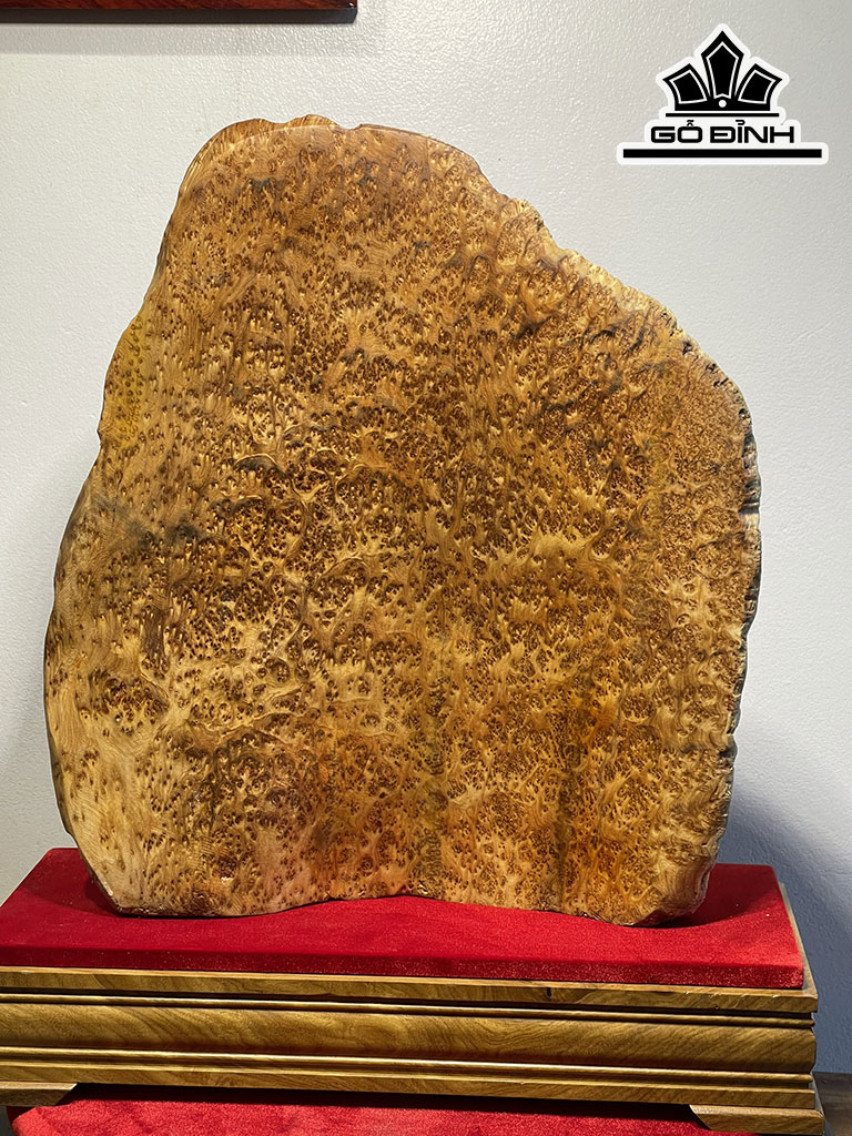 dien-phat-te-cong-go-nu-ngoc-am-cao-50-ngang-45-sau-13-cm-426123