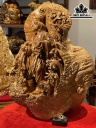 tuong-te-cong-go-nu-ngoc-am-cao-52-ngang-42-sau-10-cm-426248