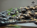 tuong-bat-ma-truy-phong-go-mun-sung-cao-34-ngang-86-sau-22-cm-426285