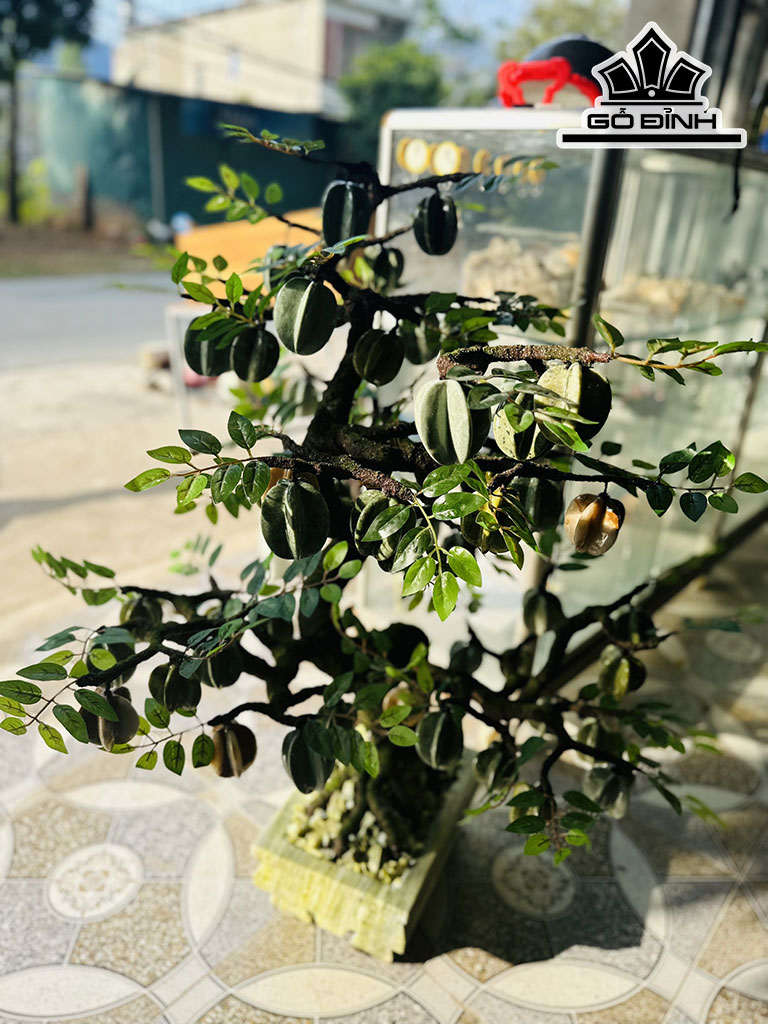 Tác Phẩm Cây Khế Đá Serpentine Cao 115 (cm)