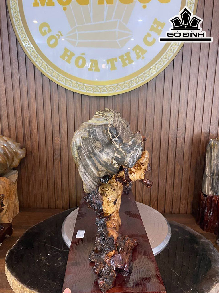 Tác Phẩm Gỗ Hóa Thạch Cao 42 Ngang 68 (cm) 22,8kg