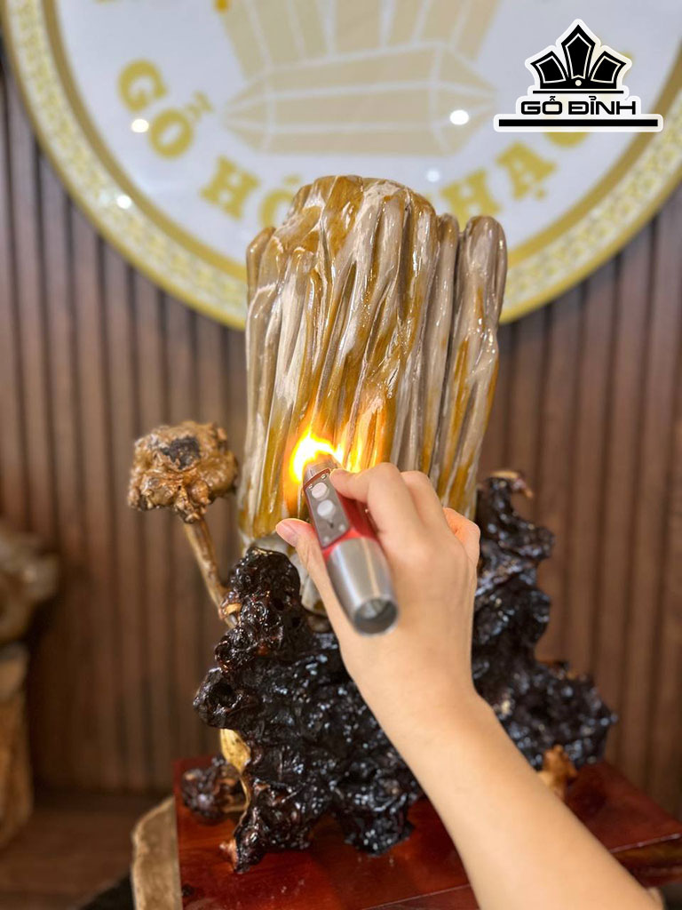 Tác Phẩm Gỗ Hóa Thạch Cao 48 Ngang 38 (cm) 11,6kg