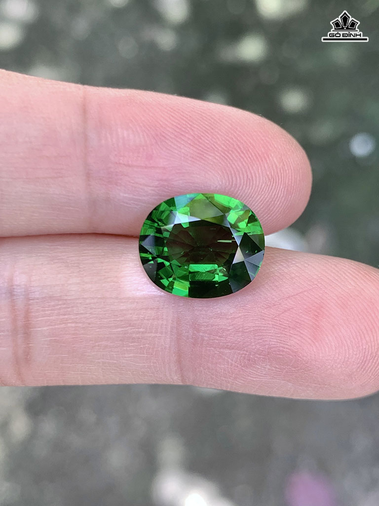 Viên Đá Tourmaline Cao 11,5 Ngang 9,8 Sâu 5,4 (mm) 3,82cts