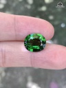 Viên Đá Tourmaline Cao 11,5 Ngang 9,8 Sâu 5,4 (mm) 3,82cts