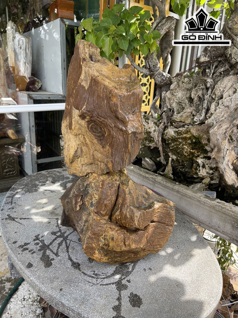 Hai Khúc Mắt Gỗ Hóa Thạch 52kg