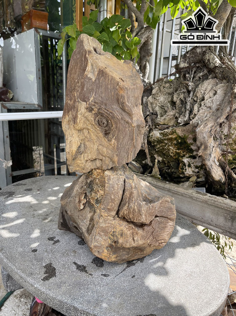 Hai Khúc Mắt Gỗ Hóa Thạch 52kg