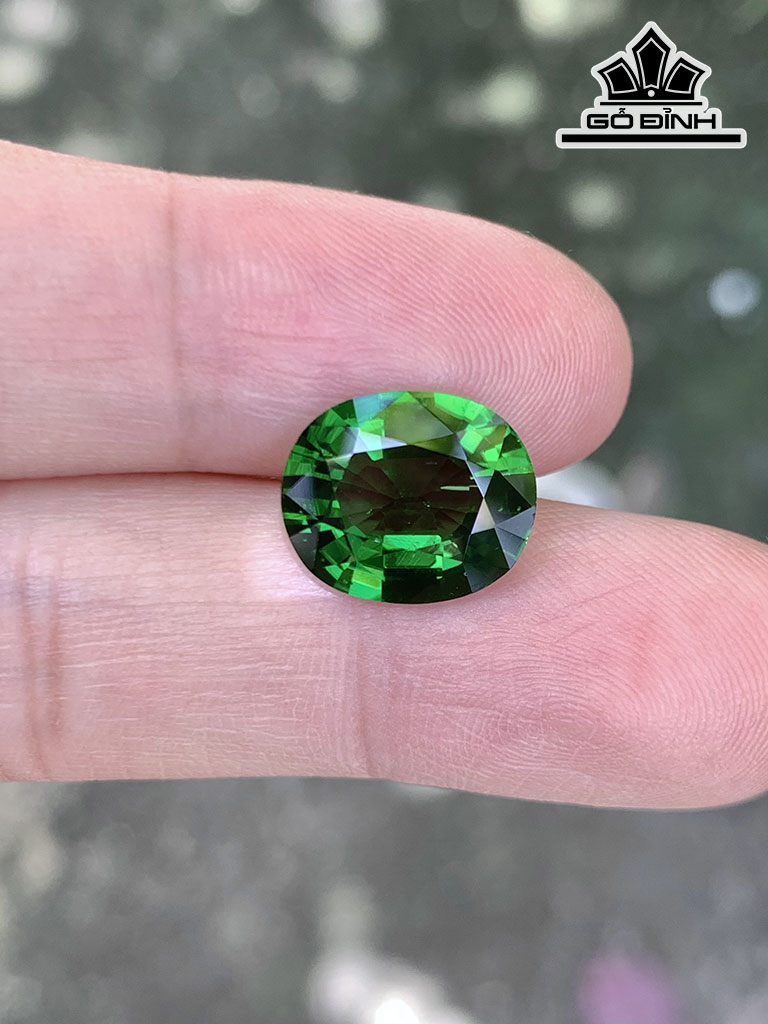 Viên Đá Tourmaline Cao 11,5 Ngang 9,8 Sâu 5,4 (mm) 3,82cts