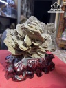 Tác Phẩm Bông Hoa Hóa Thạch Cao 28 Ngang 17 (cm) 1,8kg