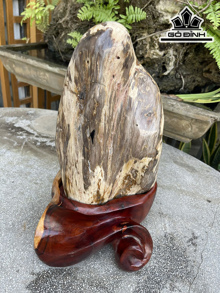 Tác Phẩm Gỗ Hóa Thạch Cao 37 (cm) 10kg