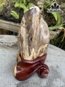 Tác Phẩm Gỗ Hóa Thạch Cao 37 (cm) 10kg
