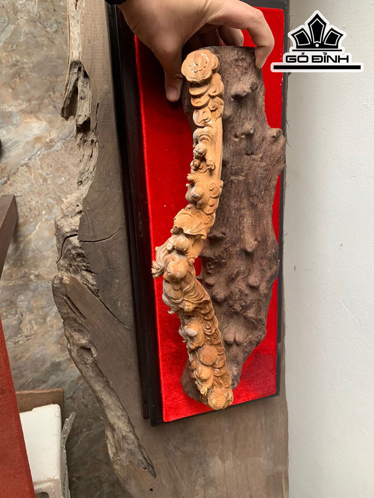 cau-phat-di-lac-ngu-phuc-go-hoang-dan-cao-12-ngang-40-sau-7-cm-428823