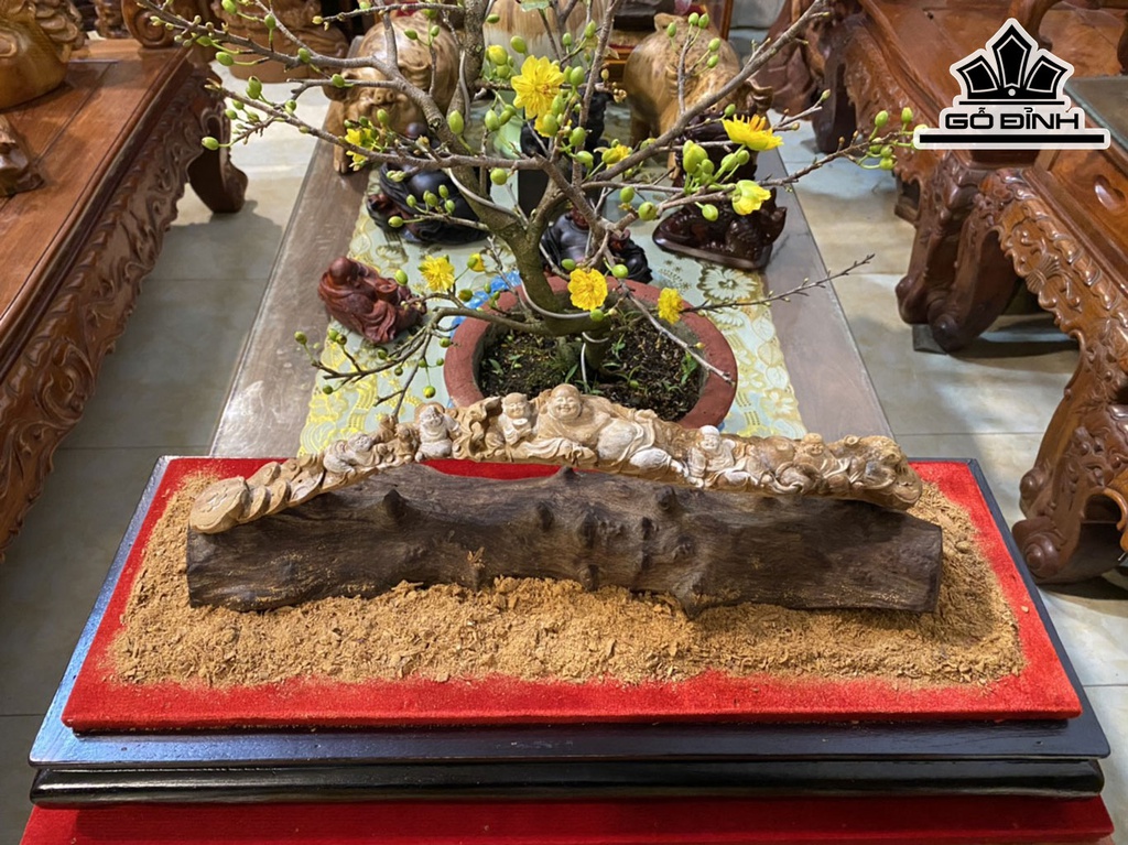 cau-phat-di-lac-ngu-phuc-go-hoang-dan-cao-12-ngang-40-sau-7-cm-428824