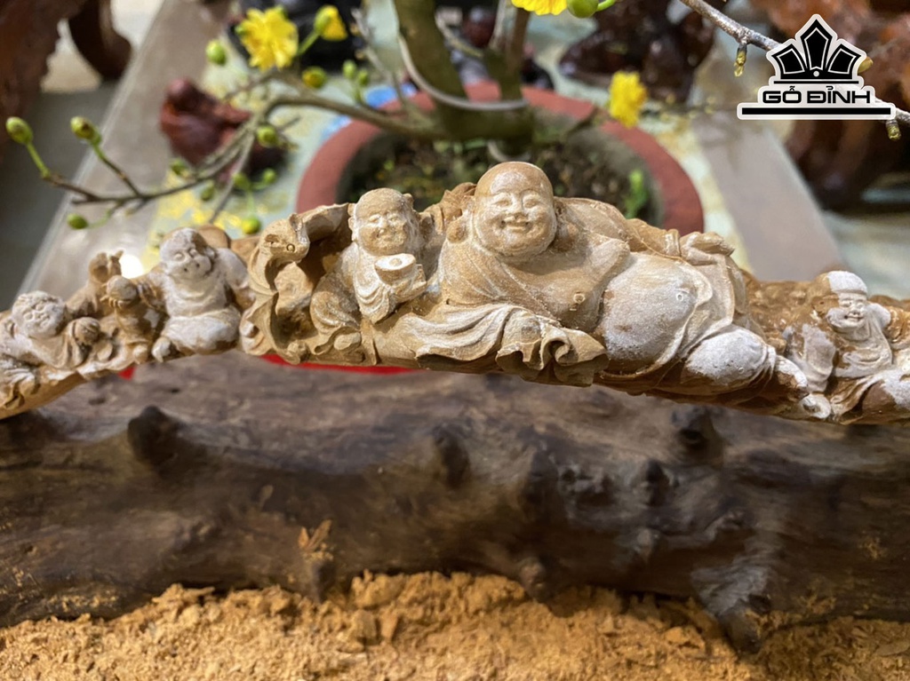 cau-phat-di-lac-ngu-phuc-go-hoang-dan-cao-12-ngang-40-sau-7-cm-428825