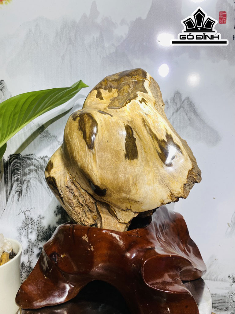 Tác Phẩm Gỗ Hóa Thạch Gia Lai Cao 44 Ngang 27 (cm) 27,8kg