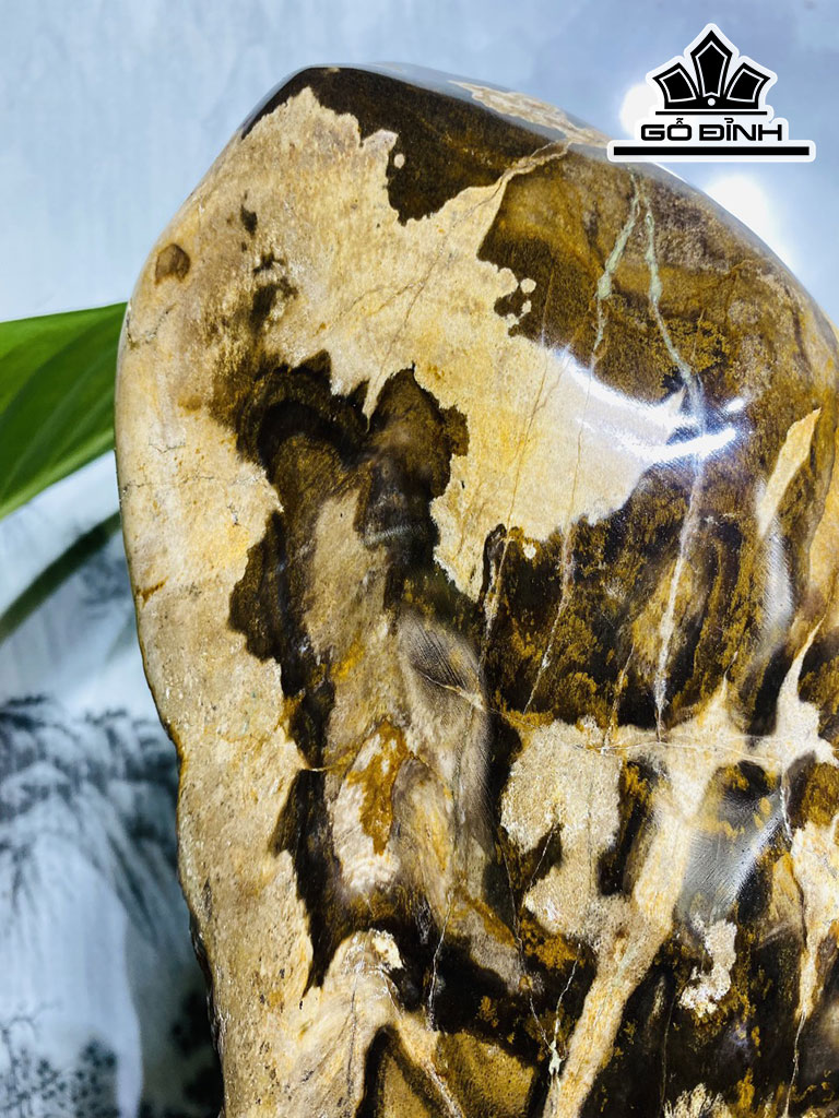 Tác Phẩm Gỗ Hóa Thạch Gia Lai Cao 44 Ngang 27 (cm) 27,8kg
