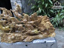 tuong-ma-dao-thanh-cong-go-nu-ngoc-nghien-cao-44-ngang-81-sau-15-cm-429704
