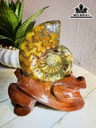 Tác Phẩm Ốc Anh Vũ Hóa Ngọc Cao 18 Ngang 11 (cm) 0,9kg