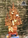 binh-hoa-mai-phu-quy-go-huong-cao-82-ngang-47-sau-30-cm-429926