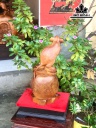 tuong-chuot-phong-thuy-ngoi-bao-tien-vang-go-huong-cao-50-ngang-25-sau-19-cm-429941