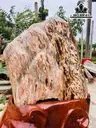 Tác Phẩm Gốc Gỗ Hóa Thạch Cao 87 Ngang 85 (cm) 200kg