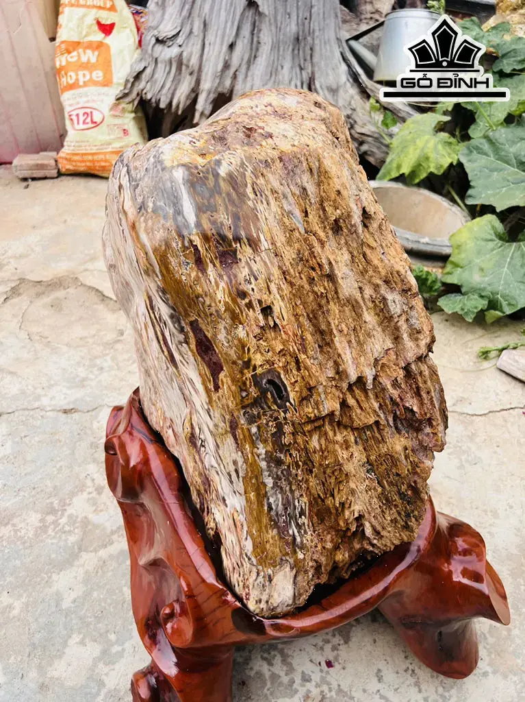 Tác Phẩm Gốc Gỗ Hóa Thạch Cao 87 Ngang 85 (cm) 200kg