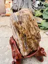 Tác Phẩm Gốc Gỗ Hóa Thạch Cao 87 Ngang 85 (cm) 200kg