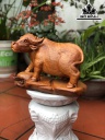 tuong-trau-go-go-do-ca-te-cao-24-ngang-36-sau-18-cm-430545