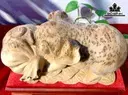 tuong-heo-go-nu-ngoc-am-cao-20-ngang-35-sau-20-cm-431120