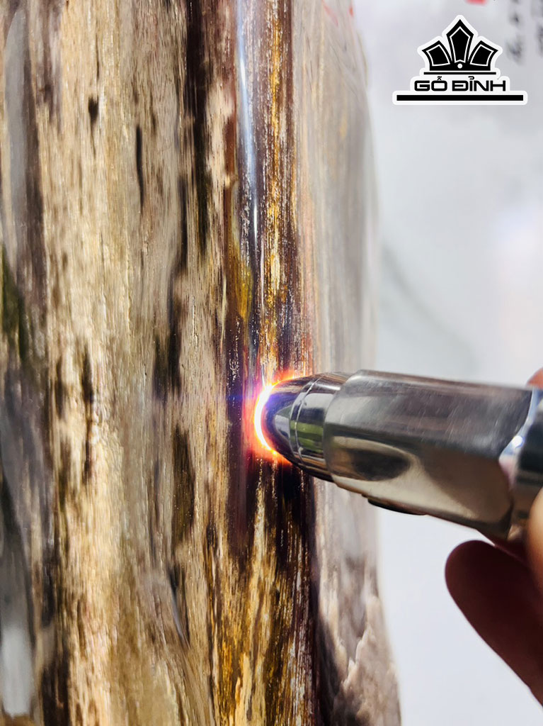 Tác Phẩm Gỗ Hóa Thạch Cao 52 Ngang 29 (cm) 20kg