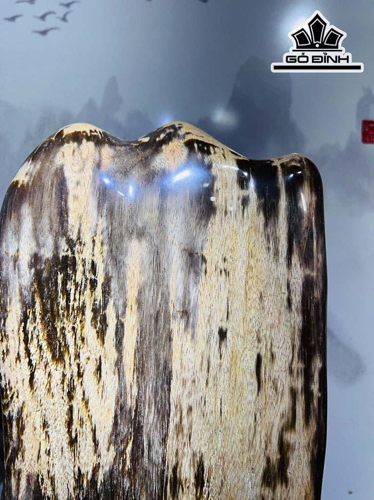 Tác Phẩm Gỗ Hóa Thạch Cao 52 Ngang 29 (cm) 20kg