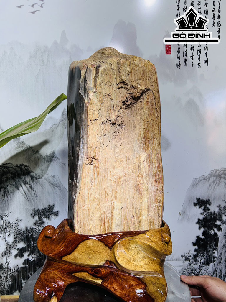 Tác Phẩm Gỗ Hóa Thạch Cao 52 Ngang 29 (cm) 20kg