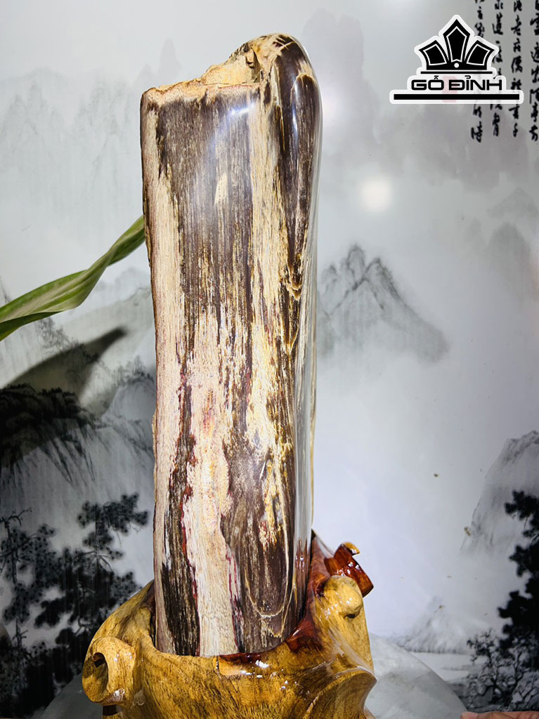 Tác Phẩm Gỗ Hóa Thạch Cao 52 Ngang 29 (cm) 20kg