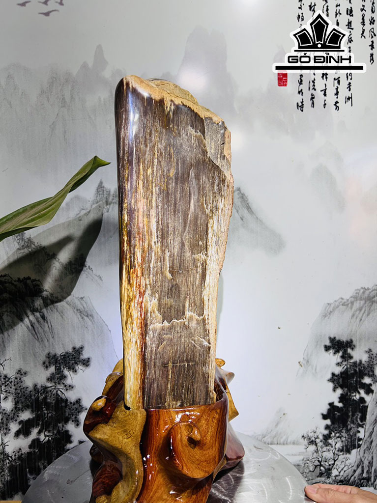 Tác Phẩm Gỗ Hóa Thạch Cao 52 Ngang 29 (cm) 20kg