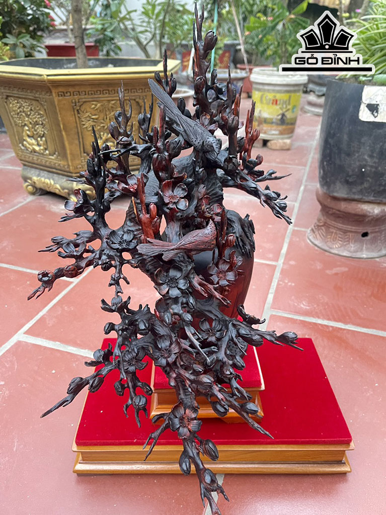 binh-mai-go-trac-cao-ca-ky-55-ngang-46-sau-38-cm-432175