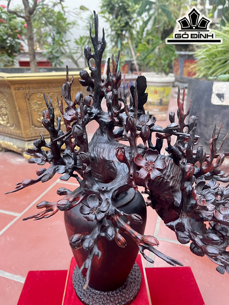 binh-mai-go-trac-cao-ca-ky-55-ngang-46-sau-38-cm-432176