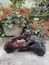 tuong-lan-su-go-trac-cao-26-ngang-44-sau-20-cm-432261
