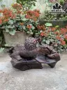 tuong-lan-su-go-trac-cao-26-ngang-44-sau-20-cm-432262