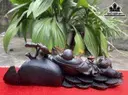 tuong-phat-di-lac-nhat-phuc-go-trac-cao-10-ngang-30-sau-10-cm-432882