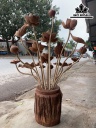 binh-sen-17-canh-cao-95-xoe-60-binh-cao-29-duong-kinh-24-cm-433112