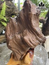 Tác Phẩm Gỗ Hóa Thạch Cao 52 (cm) 22kg