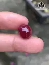 Viên Đá Ruby Đỏ Huyết Cao 11 Ngang 9,5 Sâu 6,5 (mm) 7,03cts