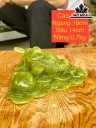 Cụ Thiềm Thừ Chiêu Tài Hút Lộc Cao 5 Ngang 16 Sâu 14 (cm) 0,7kg